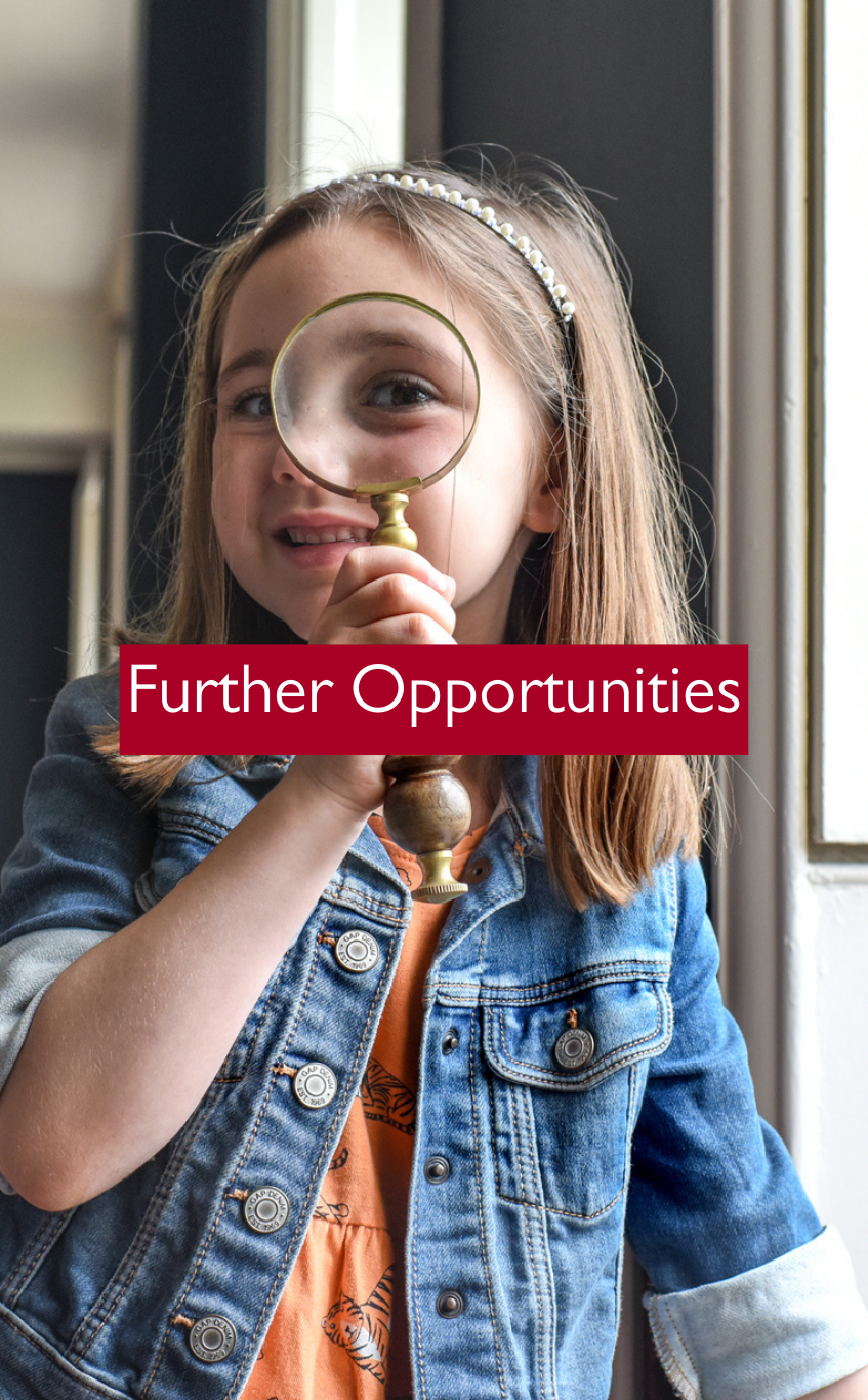 donate-1-hartlebury-castle