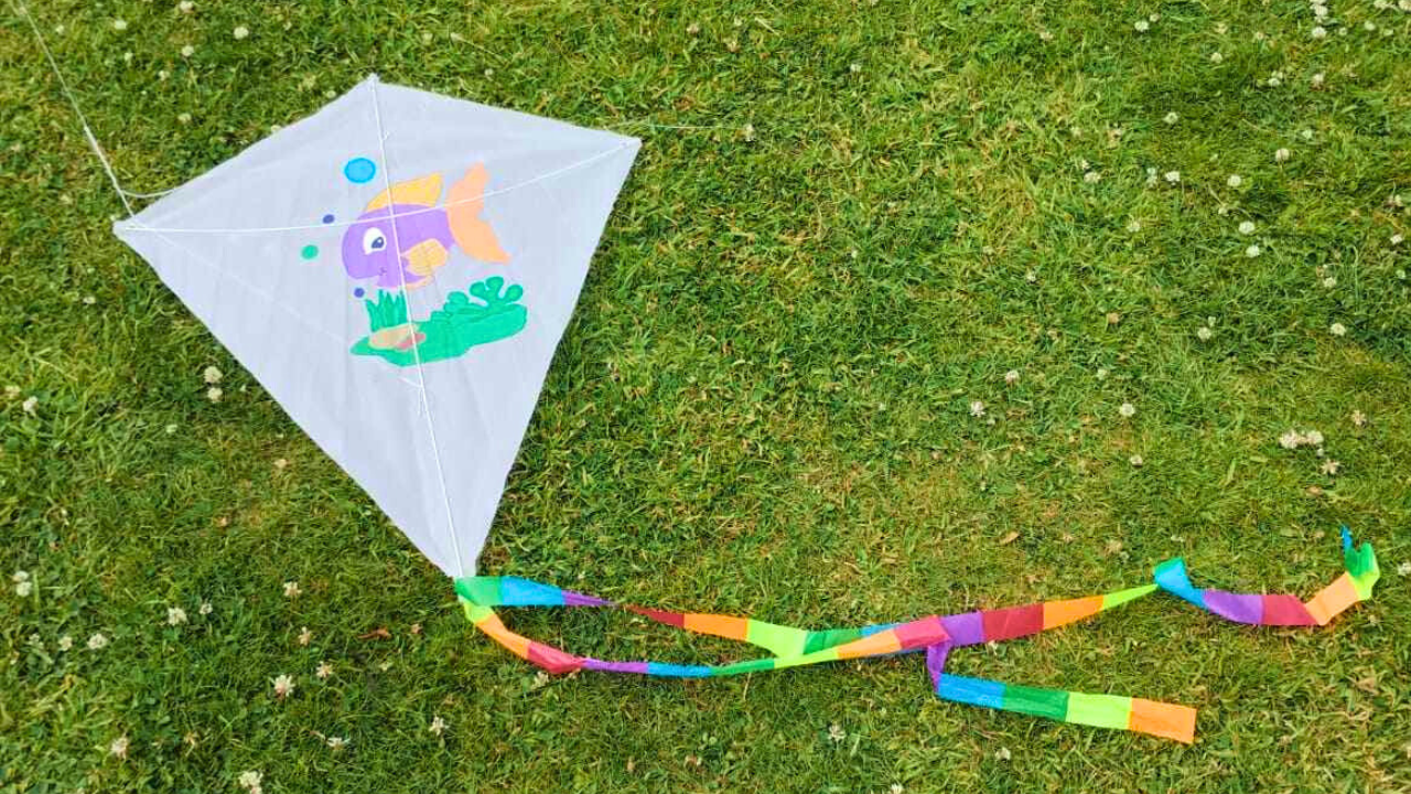 Colourful kite with a fish design laid on grass