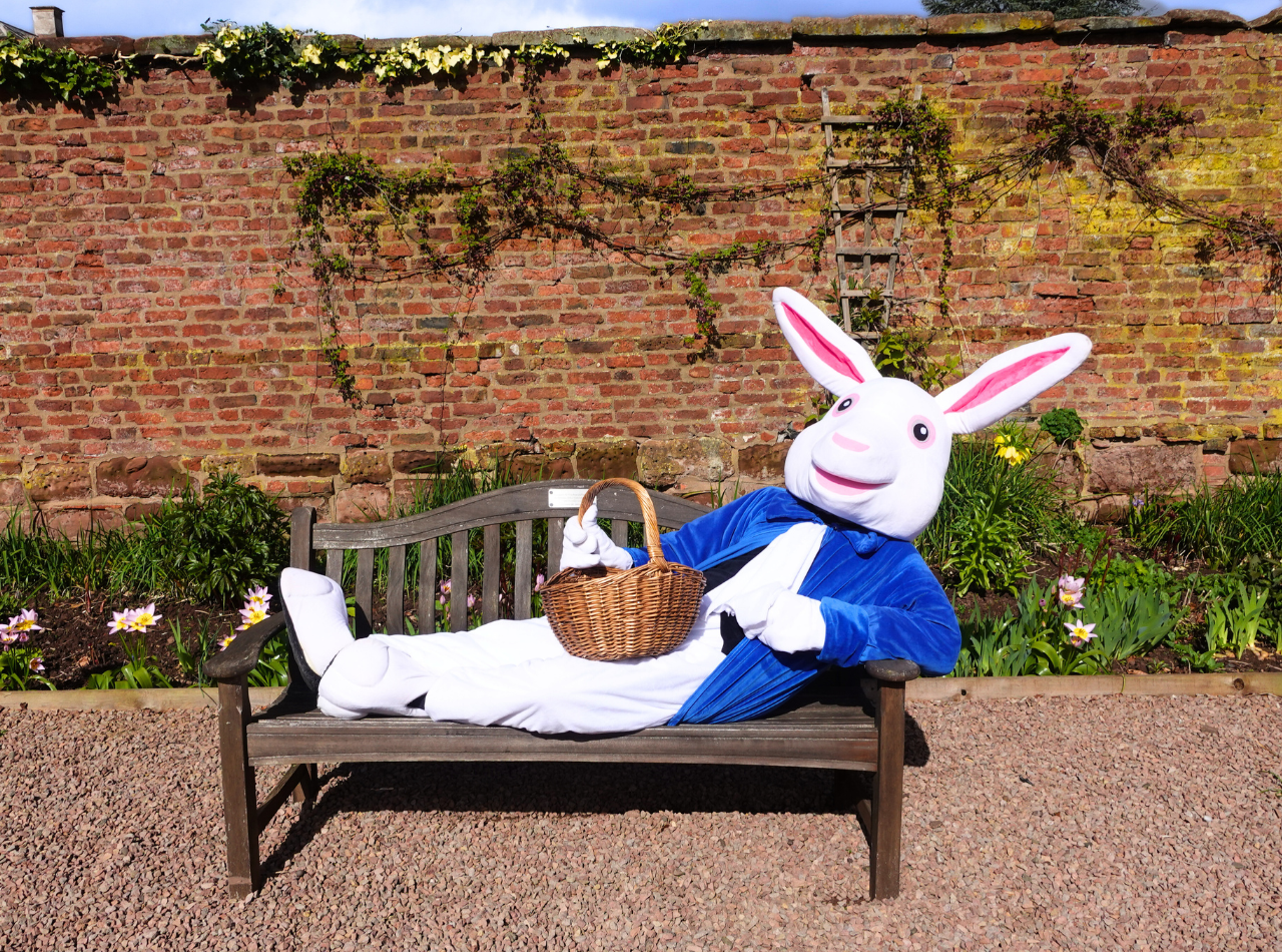 The Easter Bunny laying on a bench outside at Hartlebury Castle