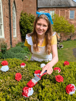Alice Young woman dressed as Alice in Wonderland outside Hartlebury Castle paints white roses on a bush red