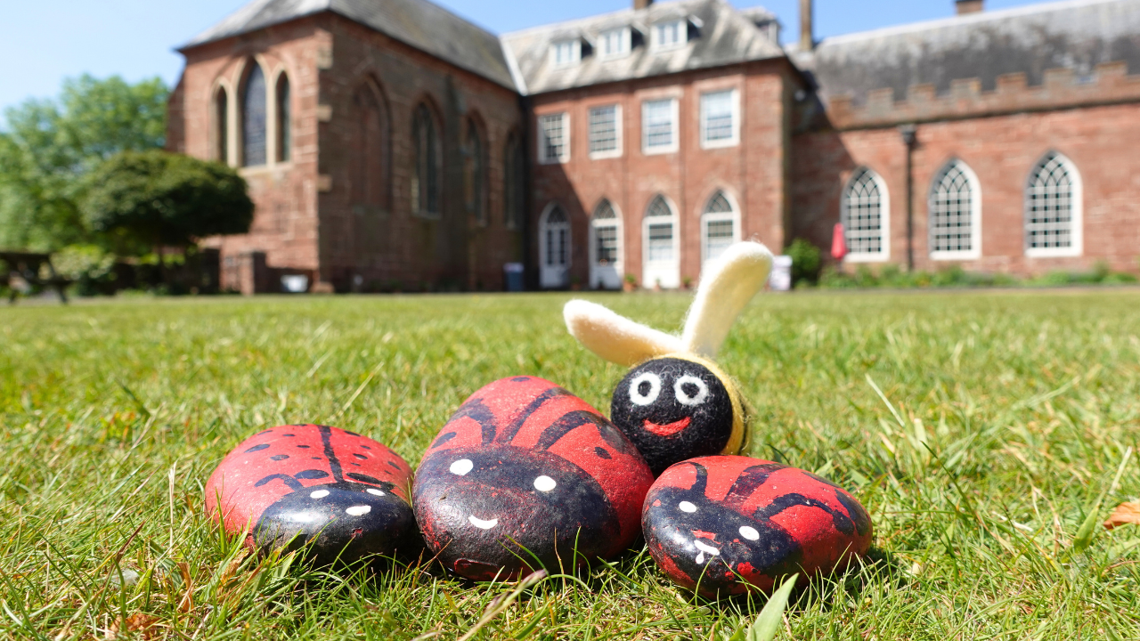 Three stones painted like ladybirds and a felt bee outside in the Carriage Circle with Hartlebury Castle behind