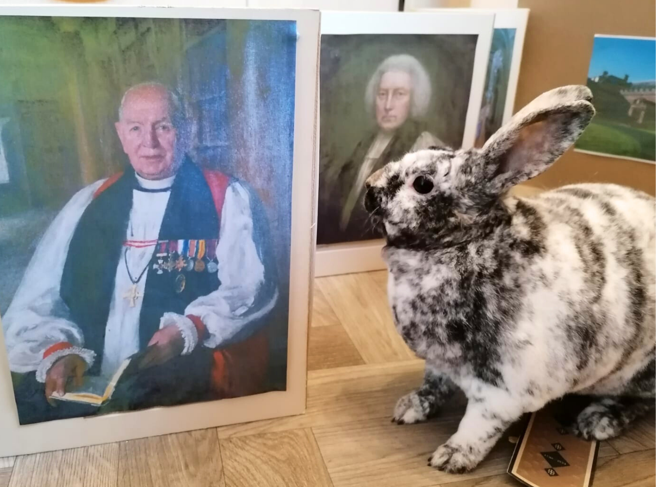Rex the Rabbit looks at images of the Bishops of Worcester