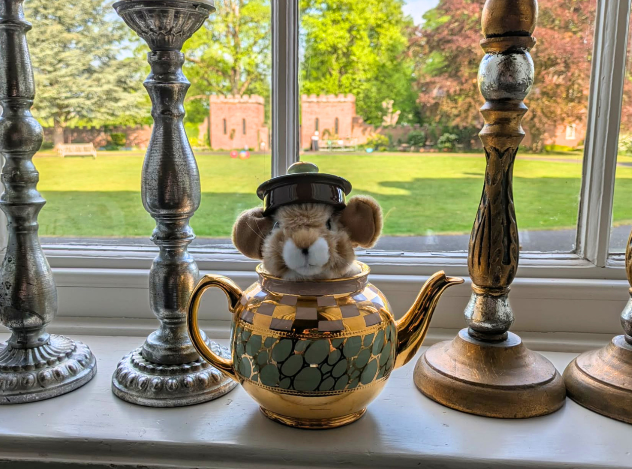 Toy mouse in a tea pot on a windowsill, with the Castle's Carriage Circle visible through the window behind it