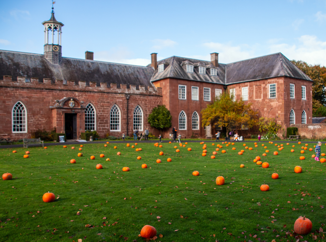 Hartlebury Castle with pumpkins all over the Carriage Circle.